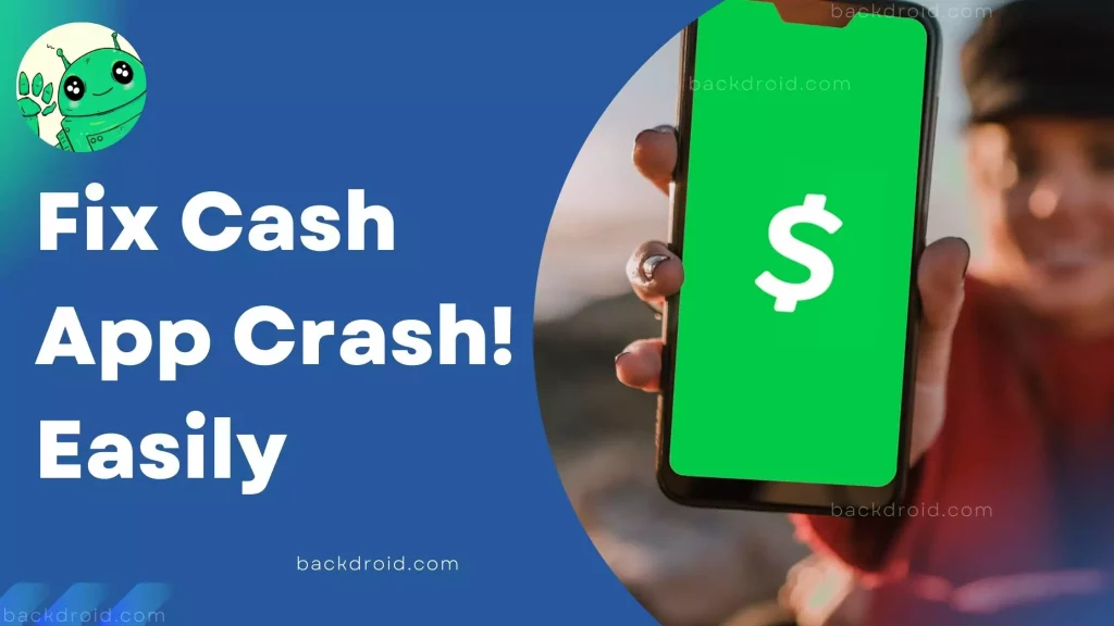 Fix cash app crash issue